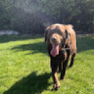 Meet your Posher, Kate